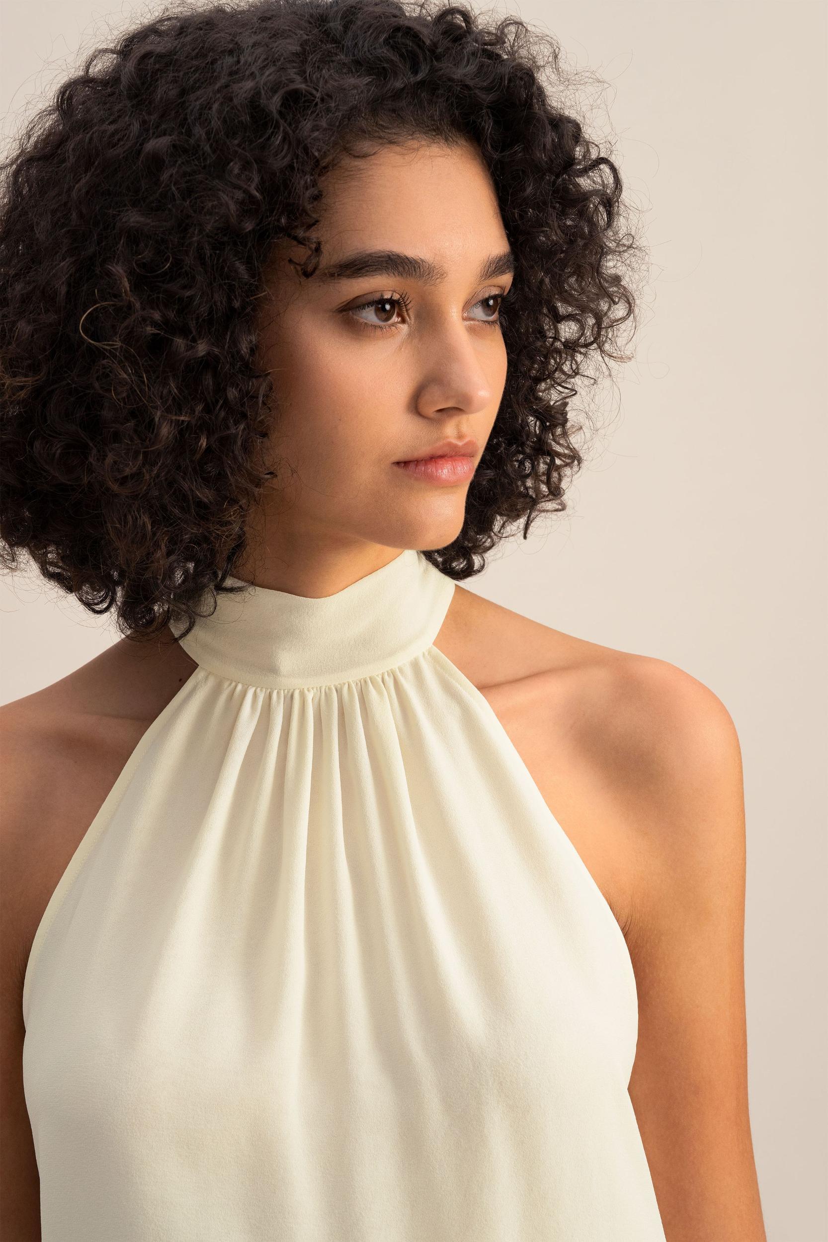 Silk Georgette Halter Neck Top Product Image