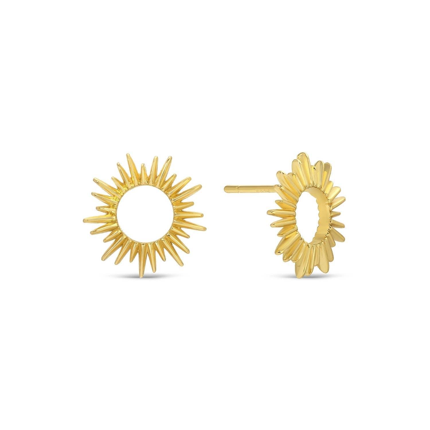 Cactus Velvet Stud Gift Set Product Image