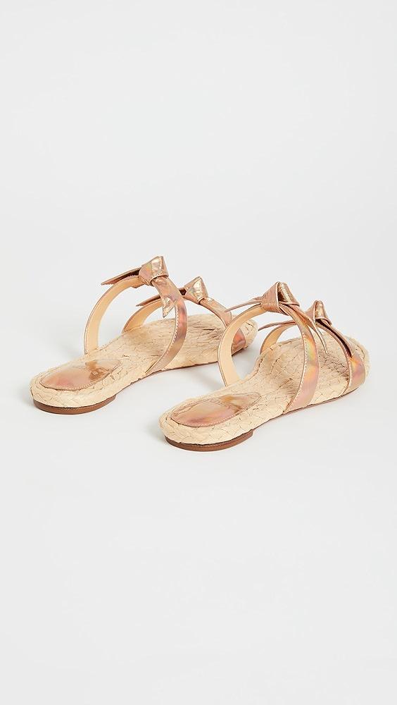 Alexandre Birman Clarita Braided Flat Sandals | Shopbop Product Image