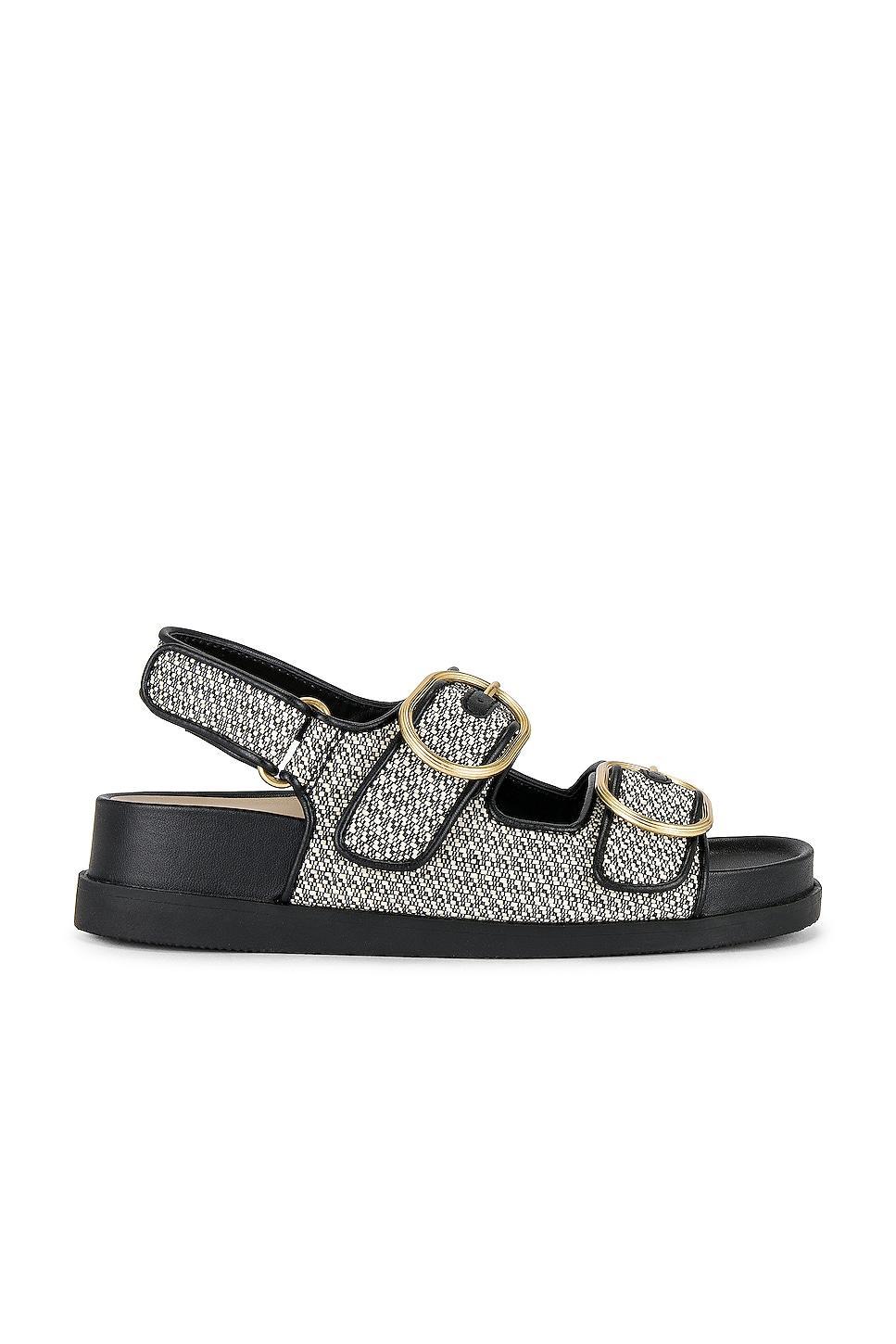 Starla Sandal Dolce Vita Product Image