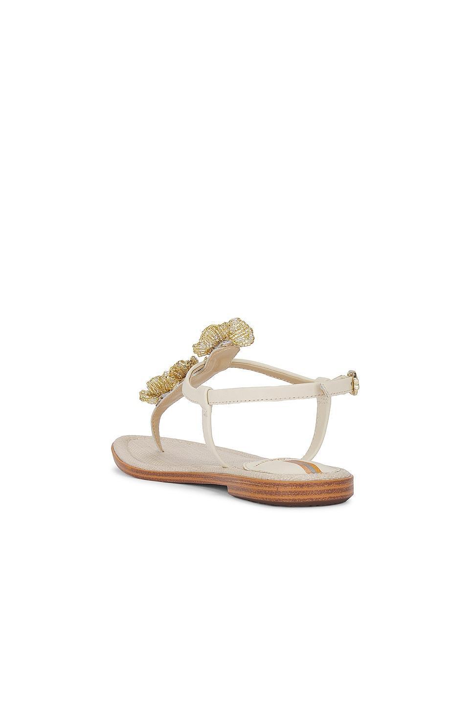 Gigi Flora Sandal Sam Edelman Product Image
