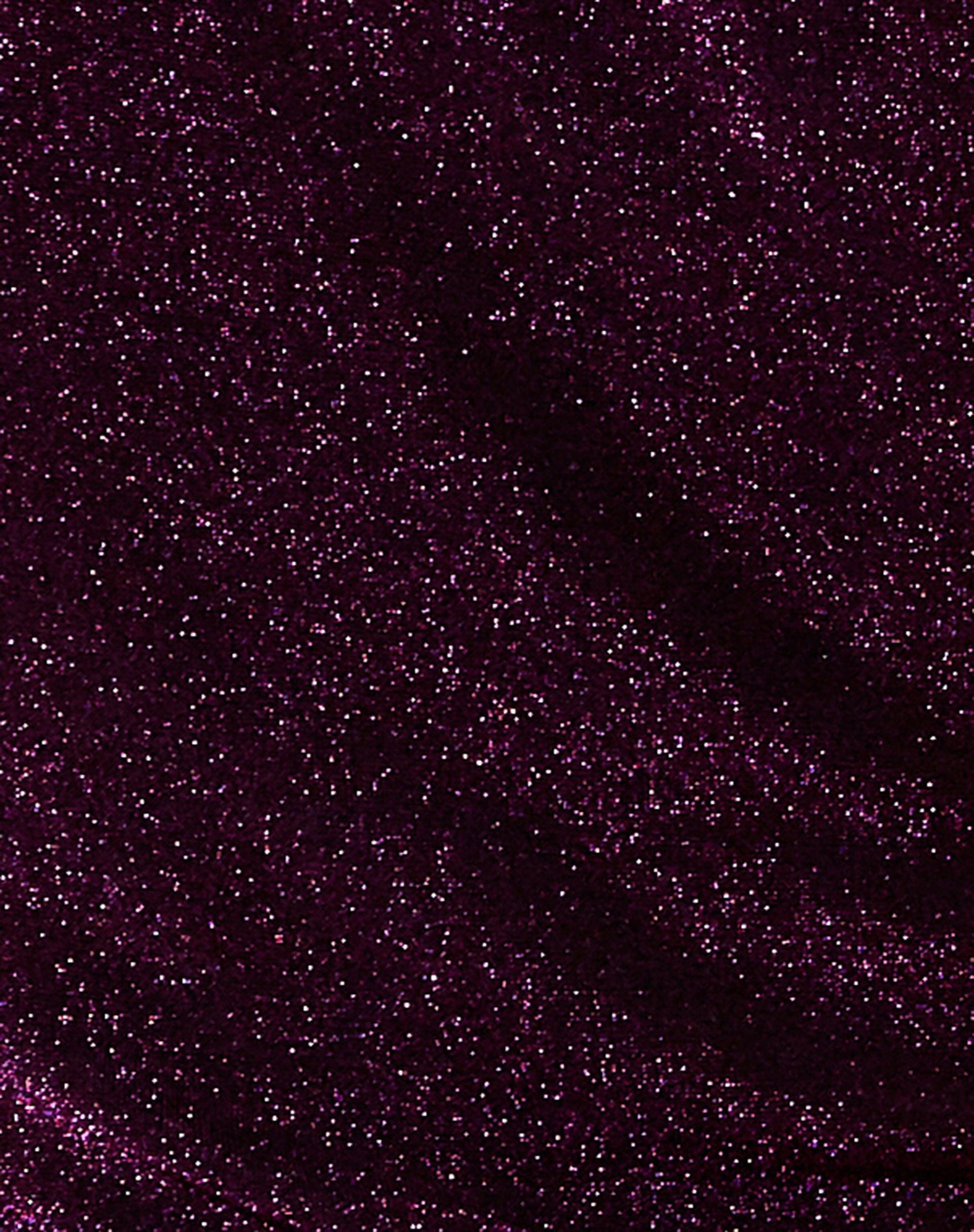 Dara Crop Top in Slinky Glitter Dark Purple Product Image
