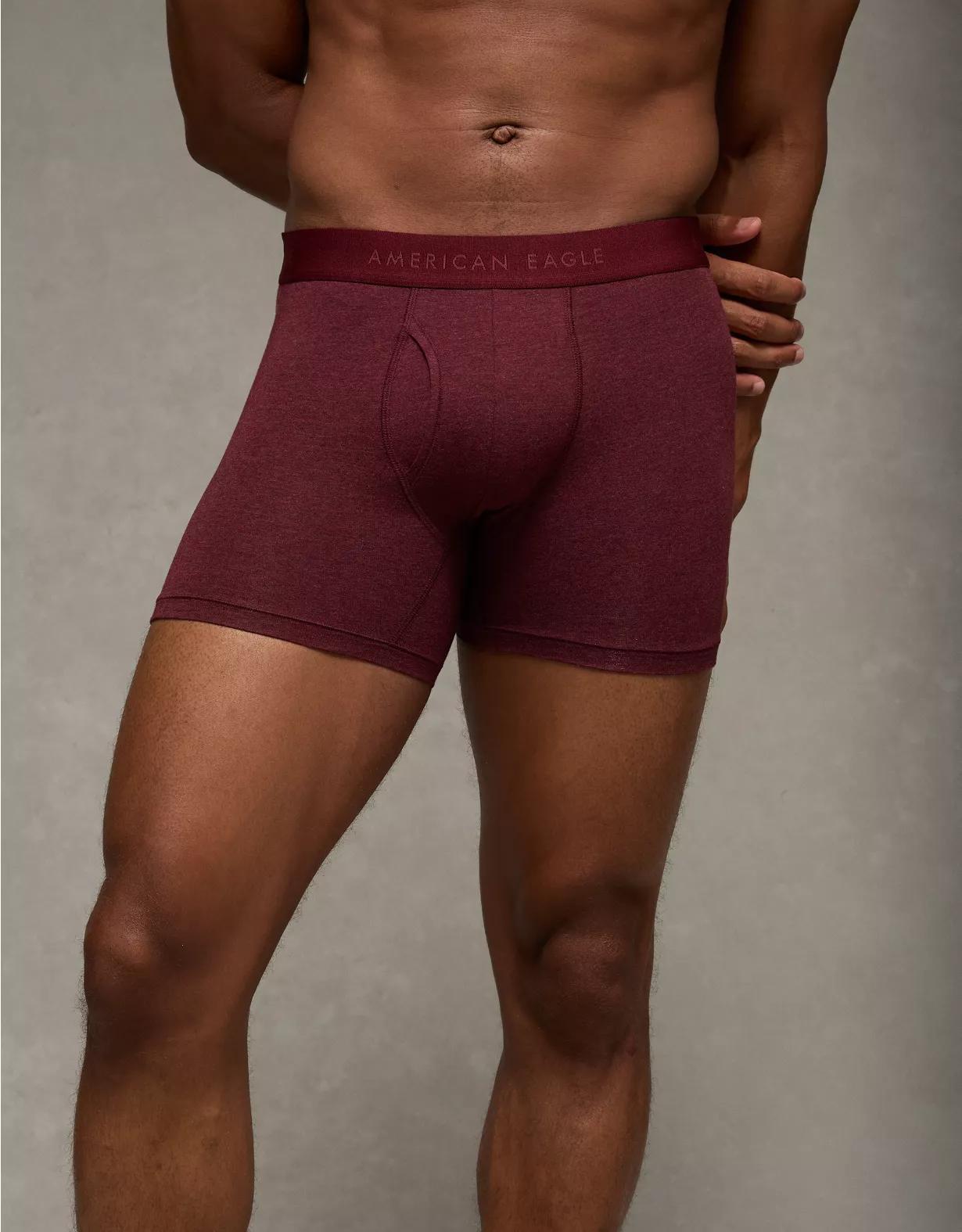 AEO Eagles 4.5" Classic Boxer Brief Product Image