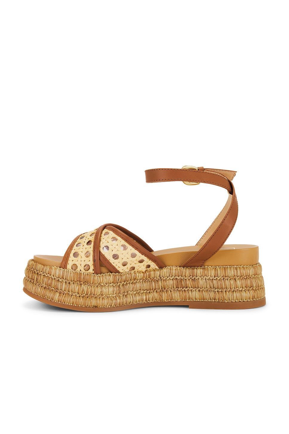 Wriley Sandal Dolce Vita Product Image