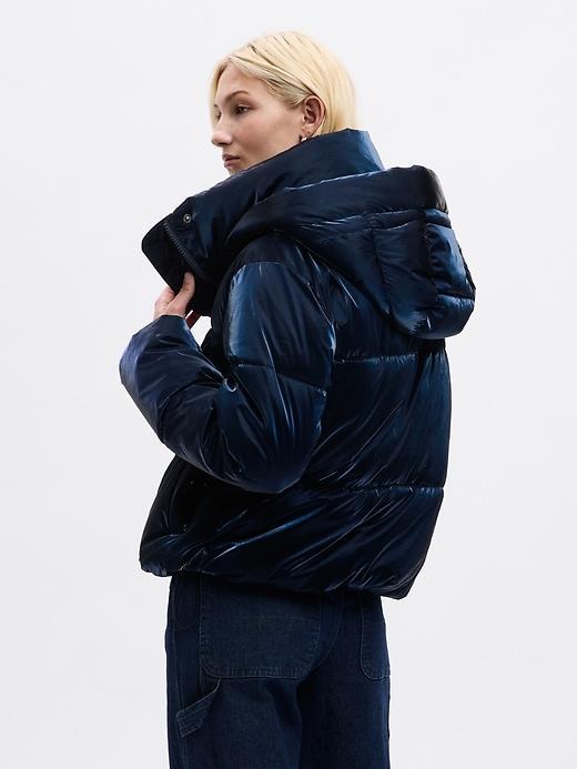 Big Puff Cropped Jacket Product Image