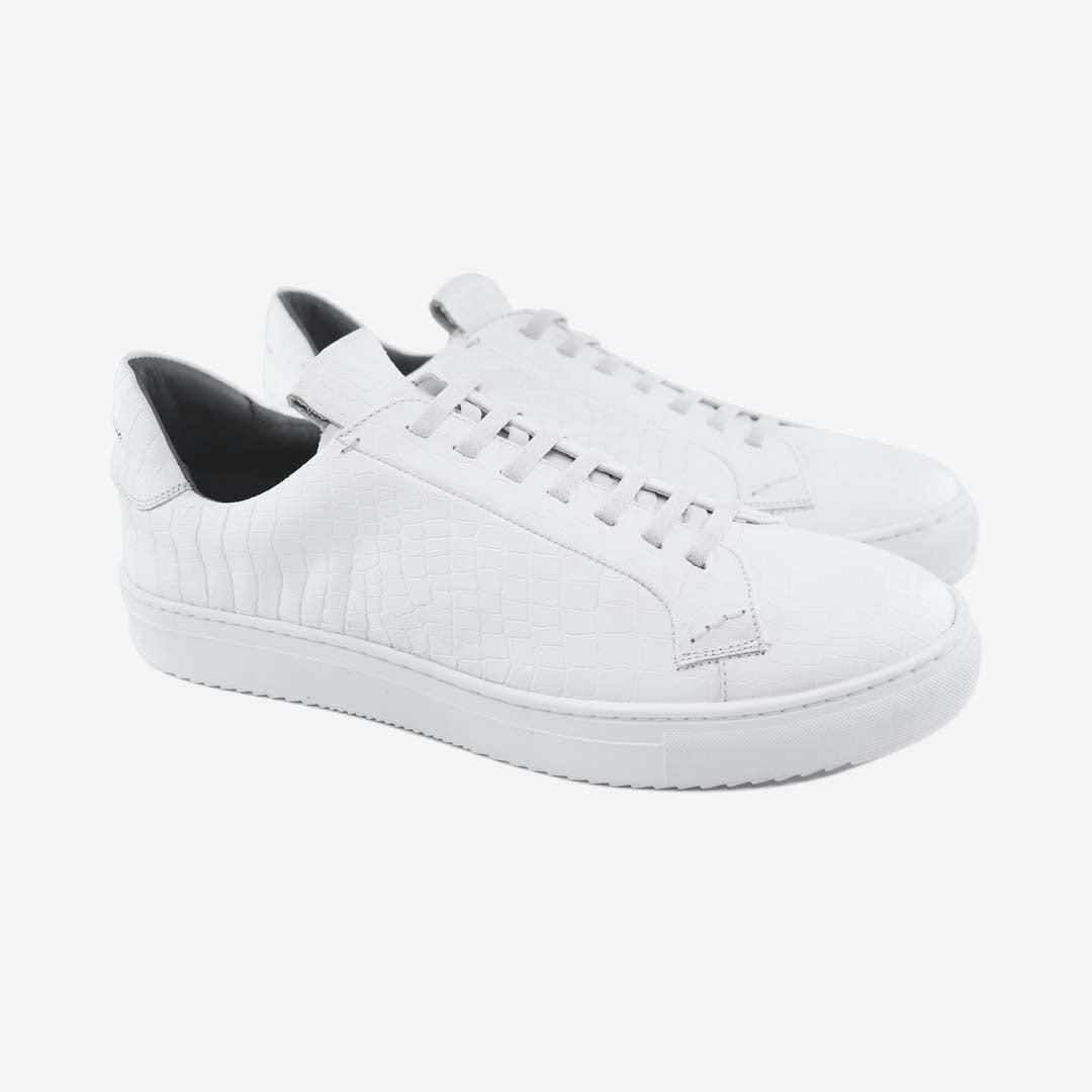 36's Laceless Low Top Product Image