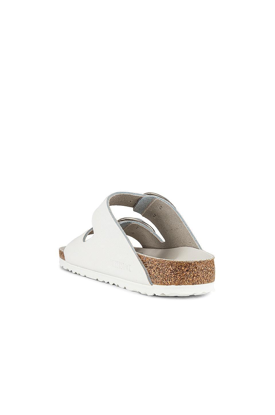 Arizona Big Buckle Sandal BIRKENSTOCK Product Image