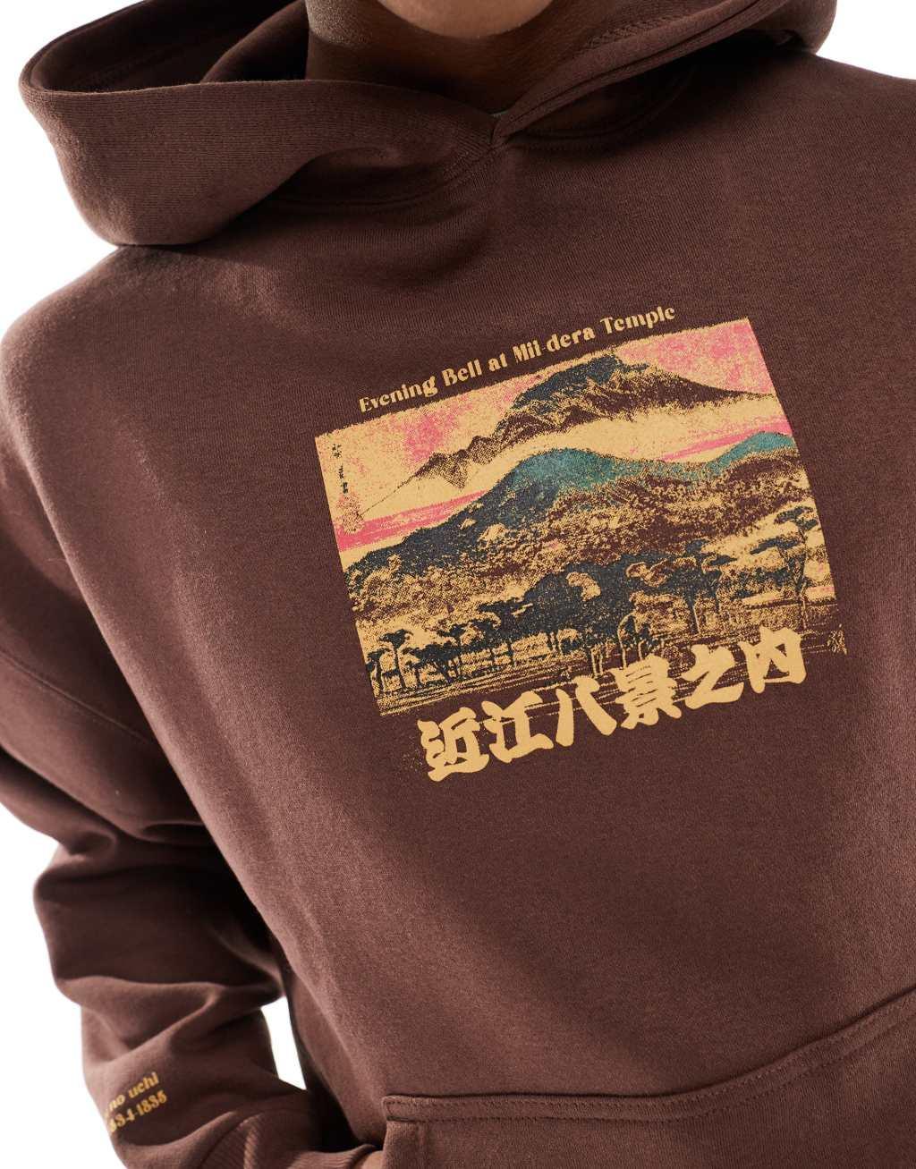 Pull&Bear mountain back printed hoodie in brown  Product Image