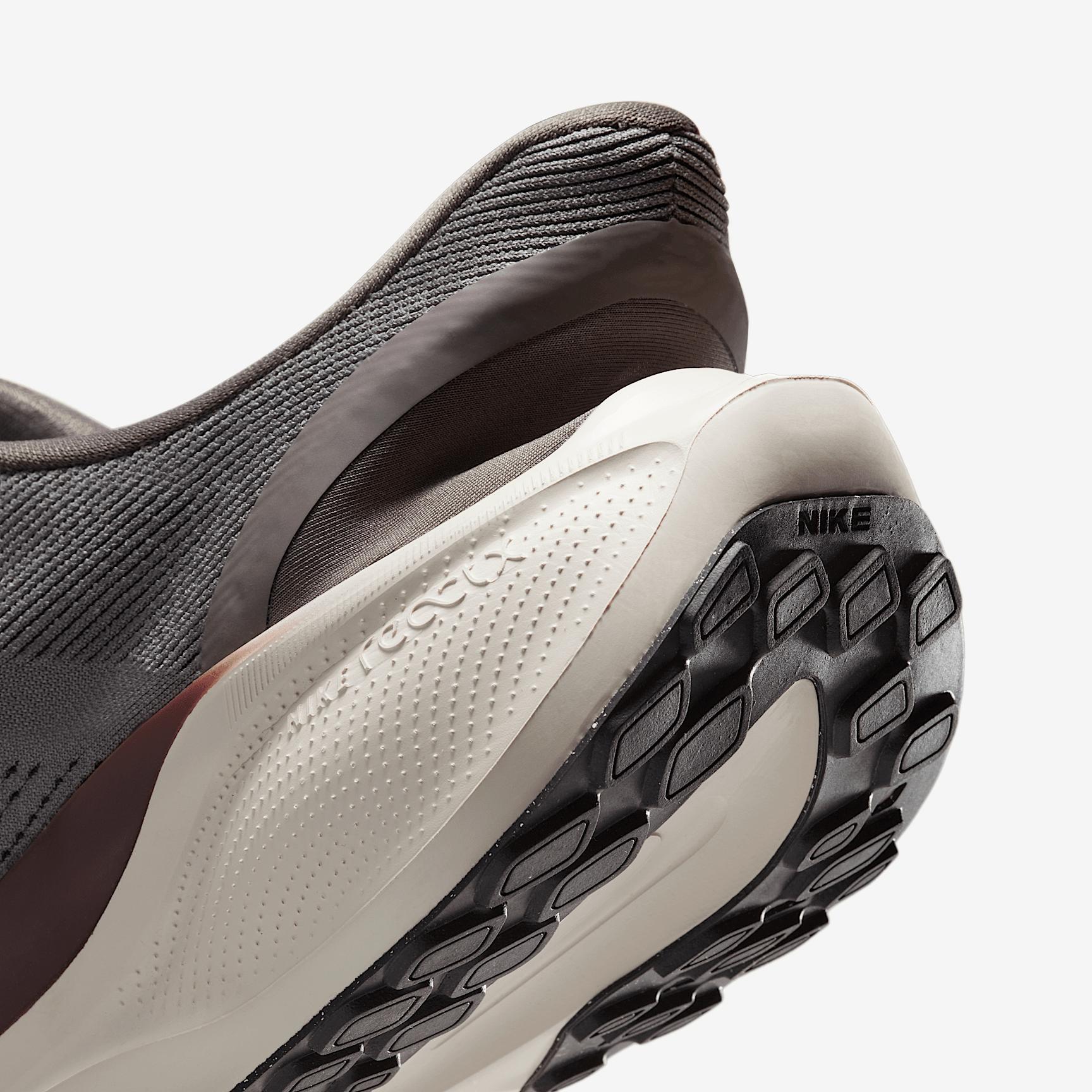 Nike Men's Pegasus EasyOn Road Running Shoes Product Image