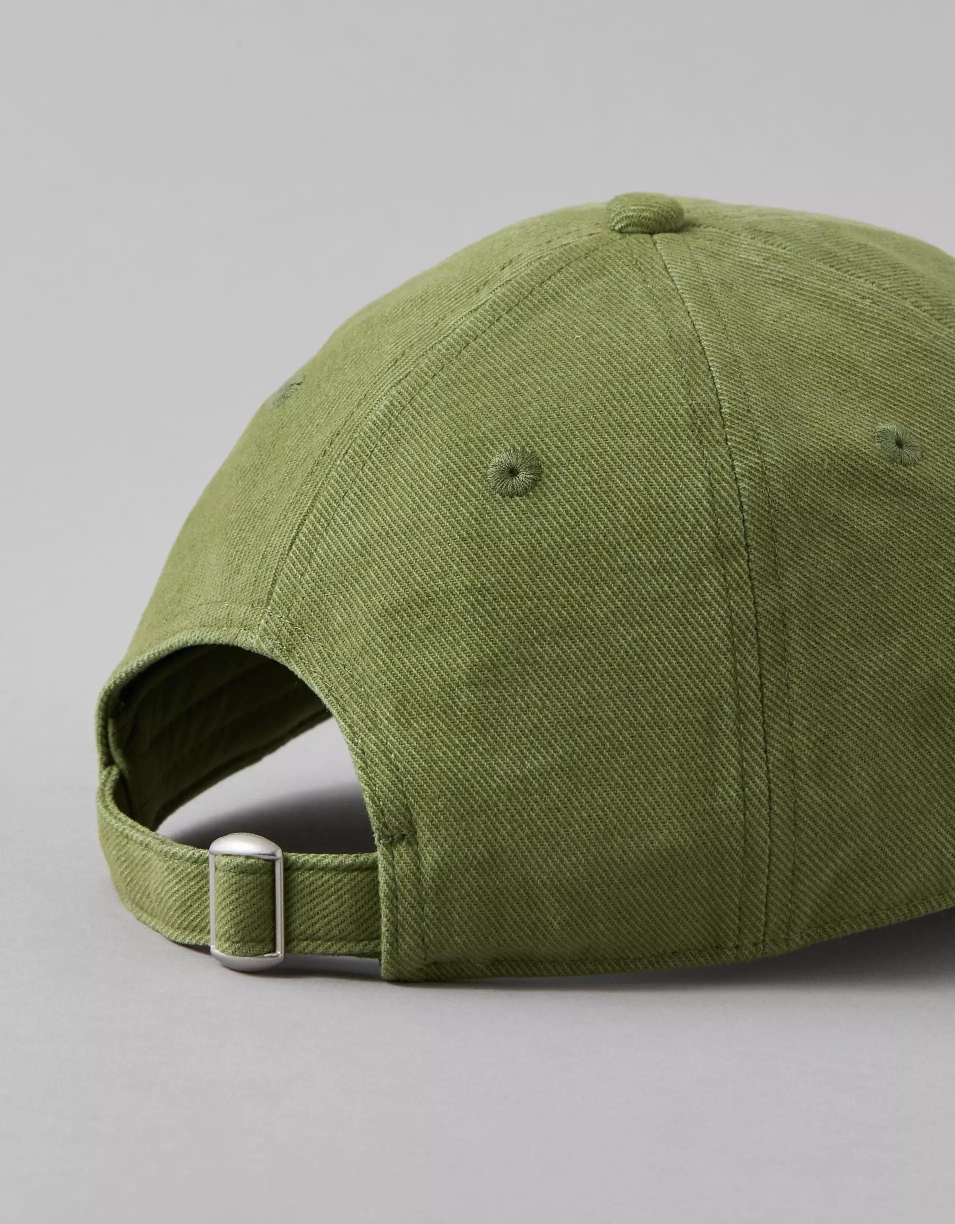 AE Destination Baseball Hat Product Image