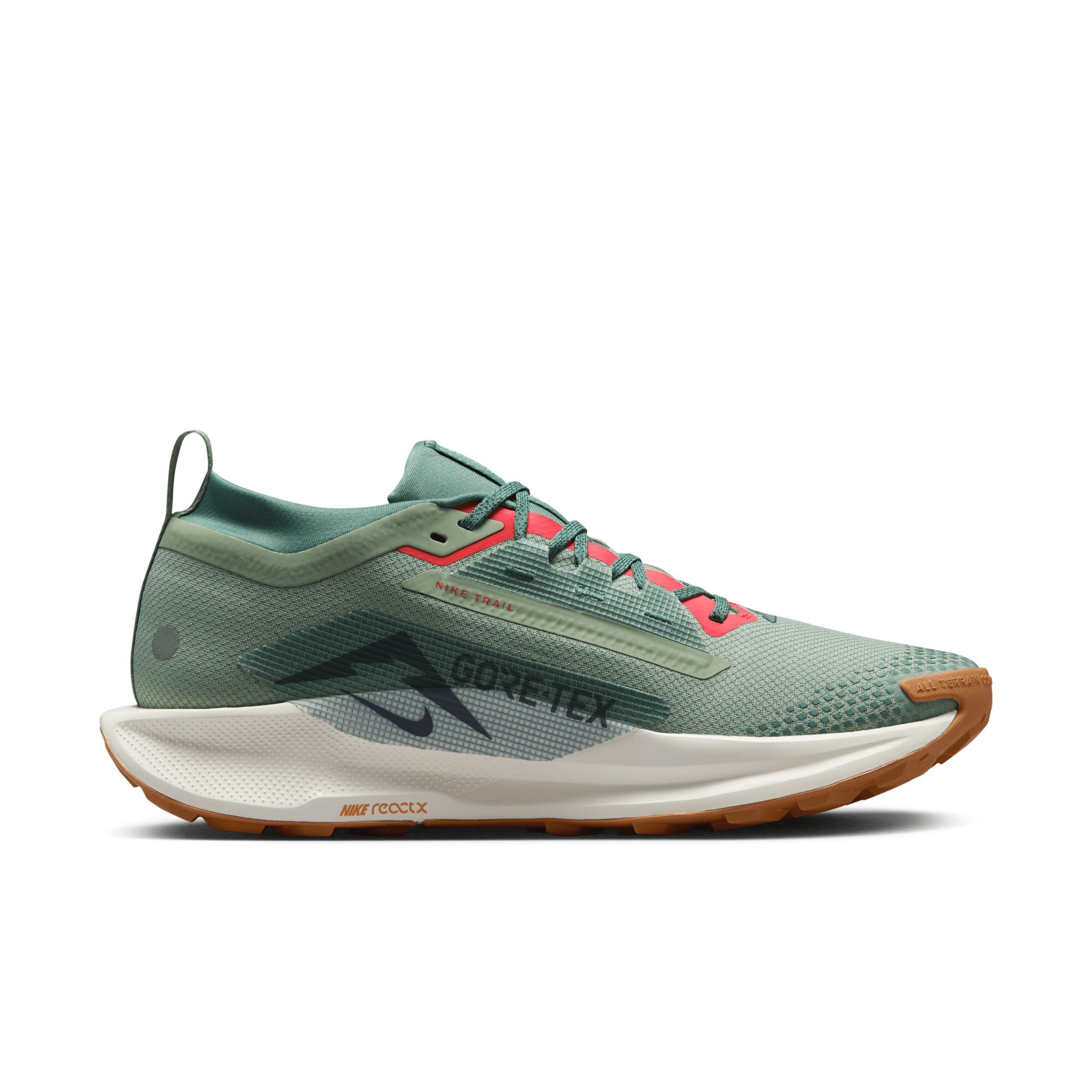 Nike Mens Pegasus Trail 5 GORE-TEX Waterproof Trail Running Shoes Product Image