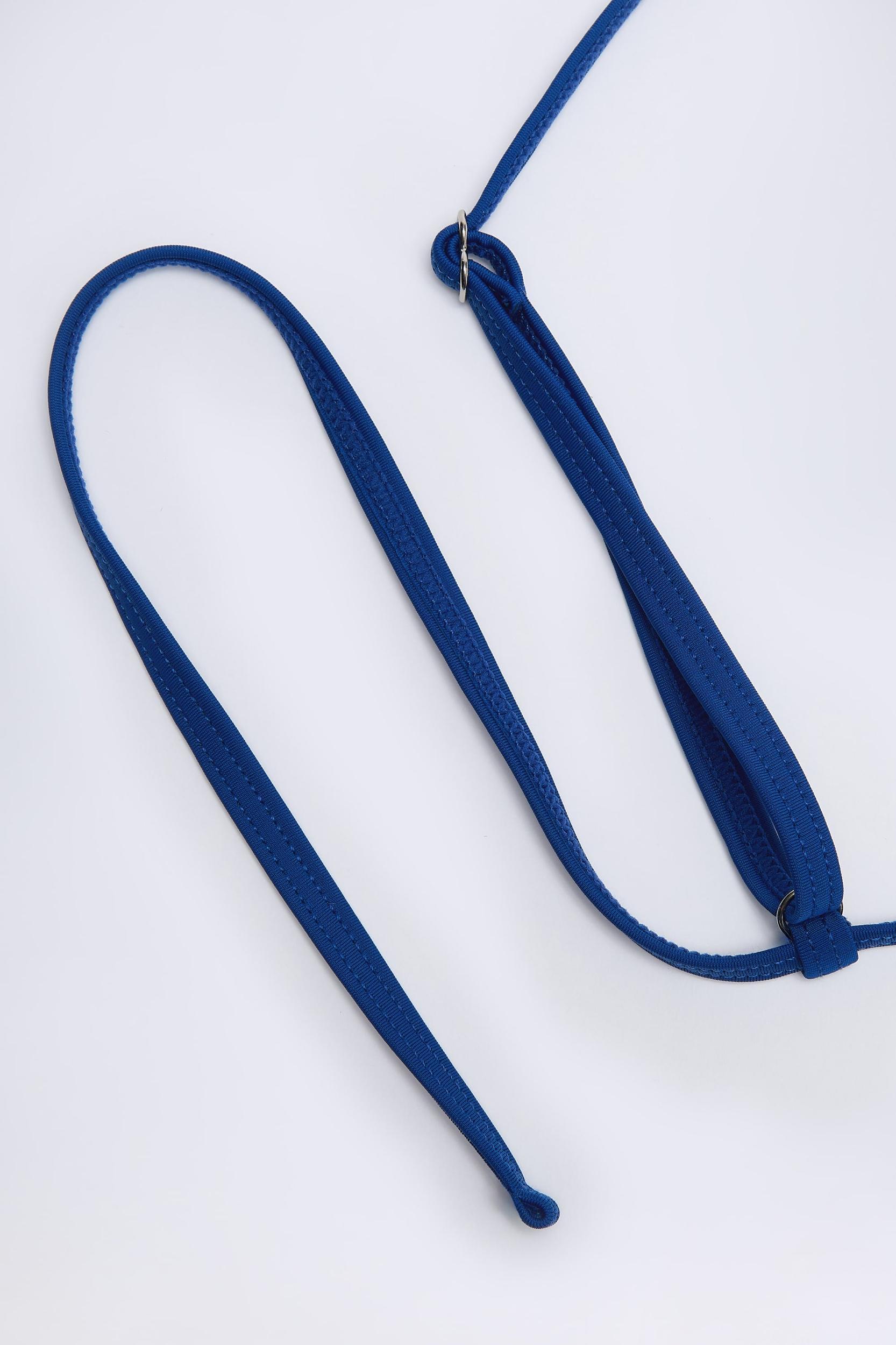 Triangle Bikini Top in Marine Blue Stripe Product Image