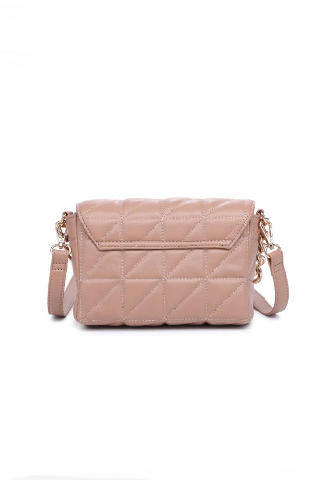 Alani Convertible Crossbody Bag Product Image