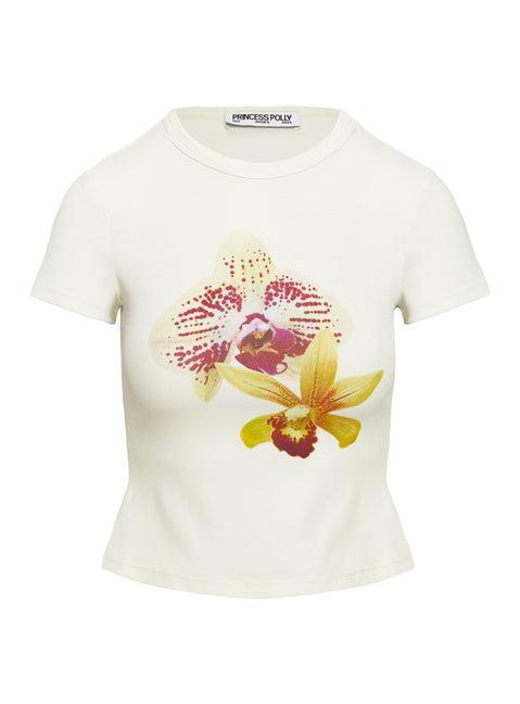 Pinup Broderie Micro Shorts Cream Product Image