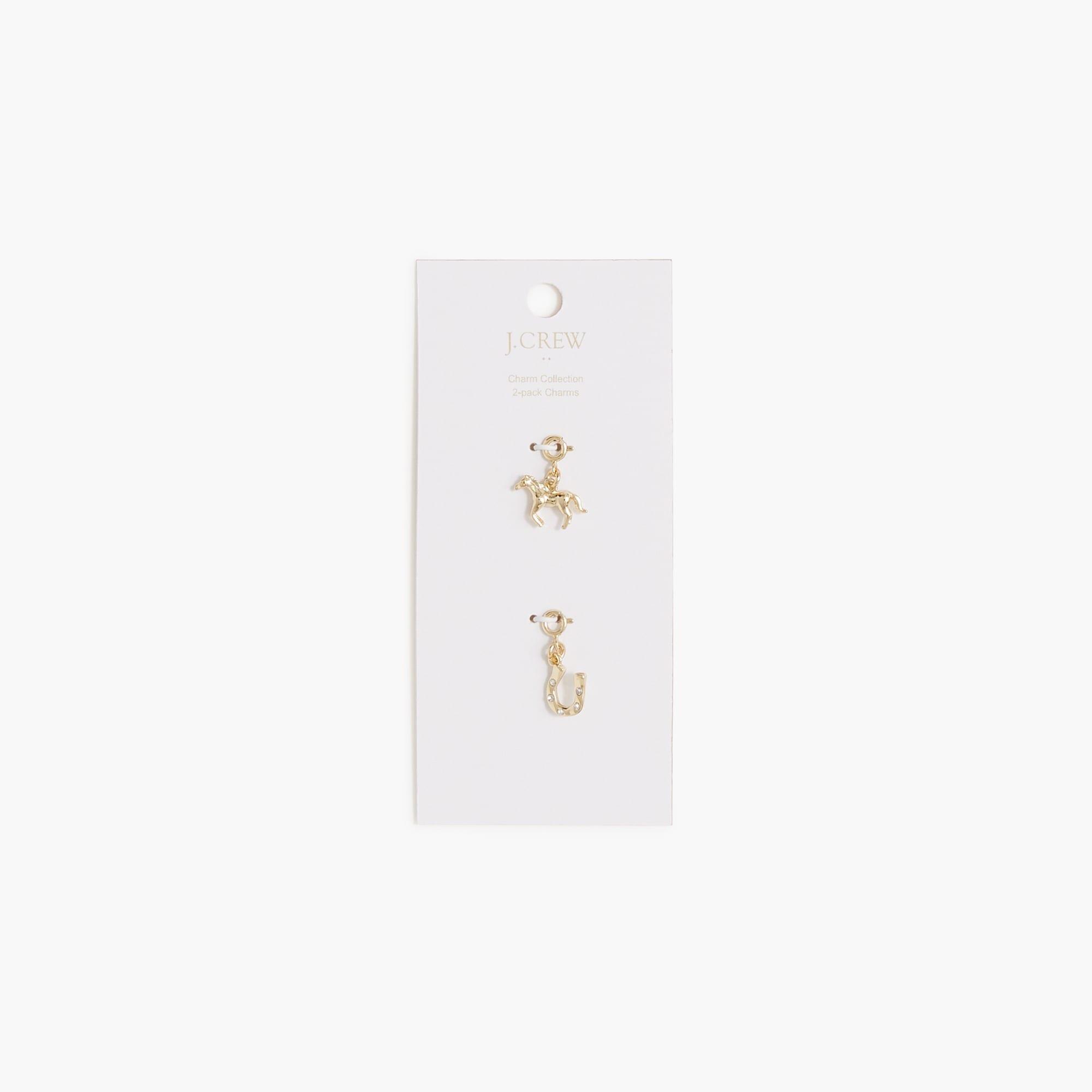 Horse and horseshoe charms set-of-two Product Image