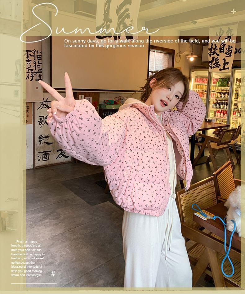 Collared Floral Print Crop Puffer Jacket Product Image