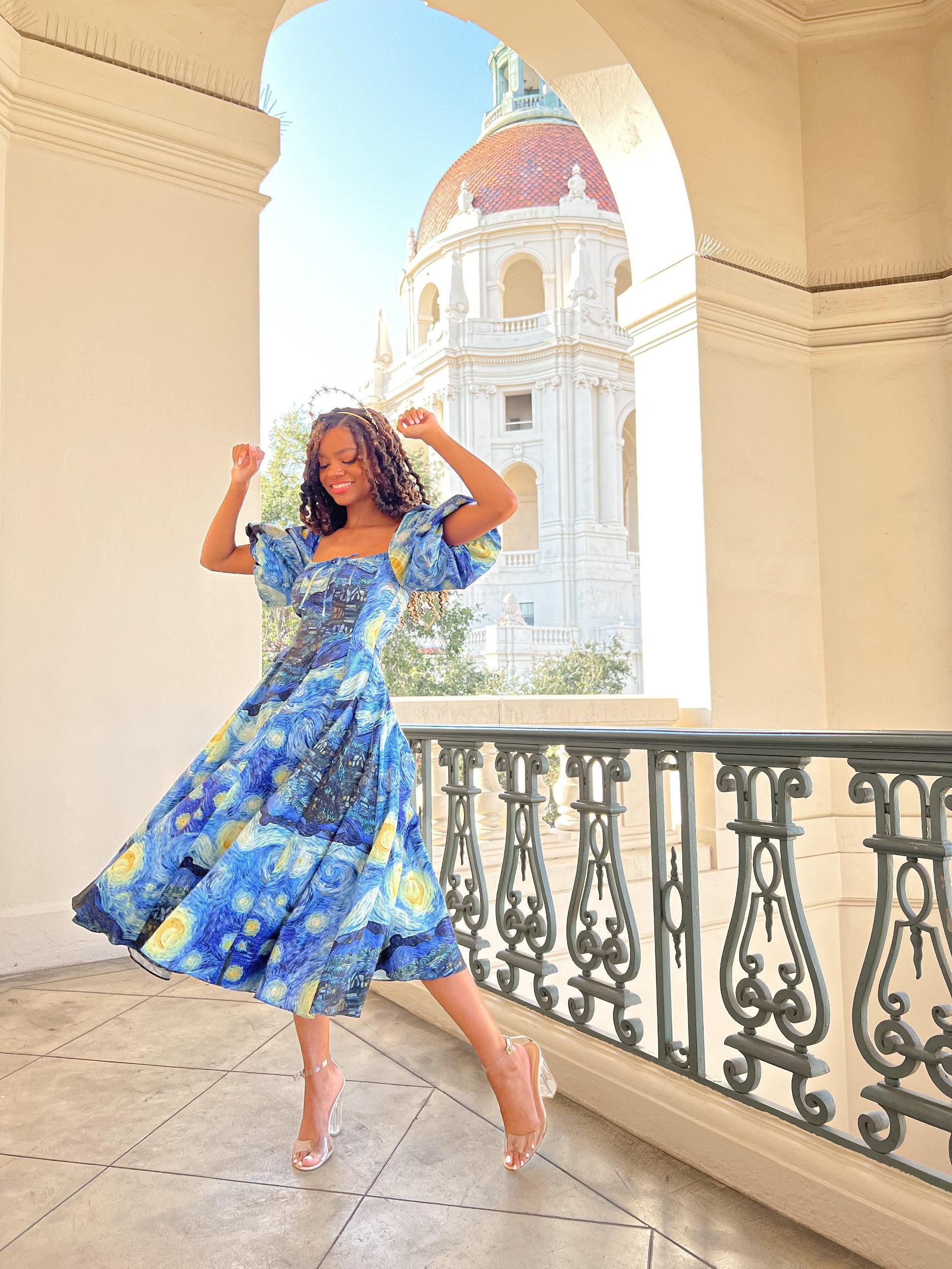 The Starry Night Day Dress Product Image