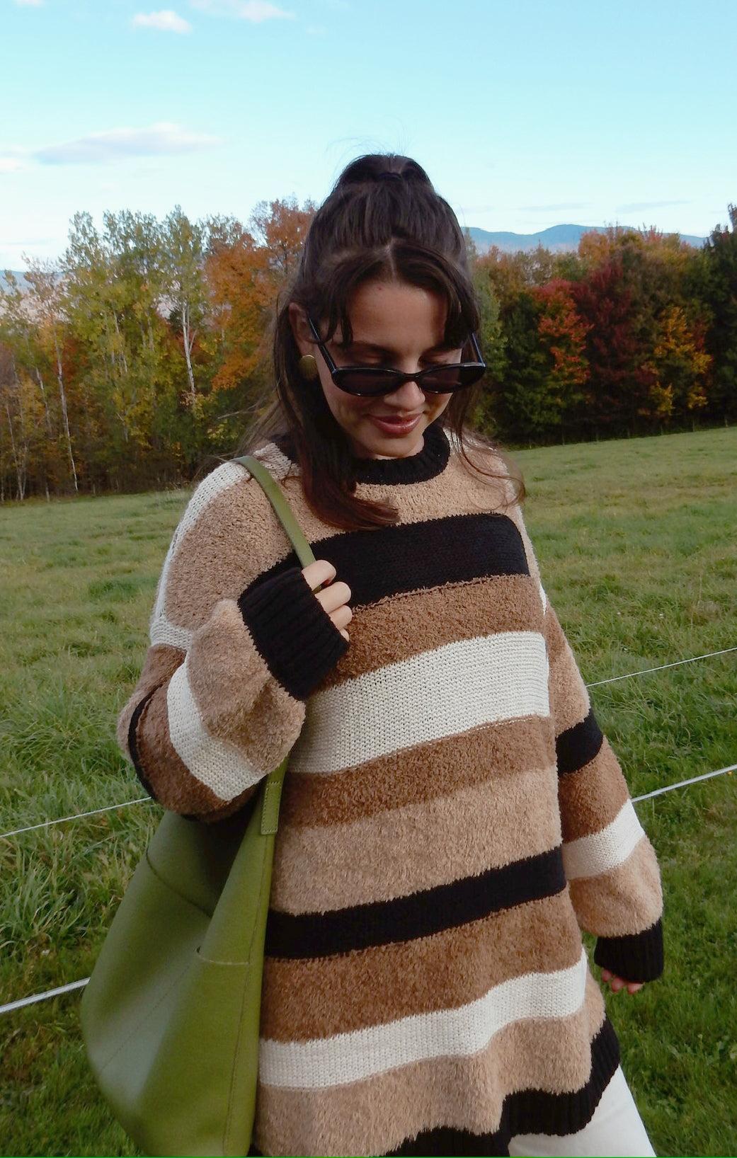 Timothy Tunic Sweater ~ Neutral Multi Stripe Knit Product Image