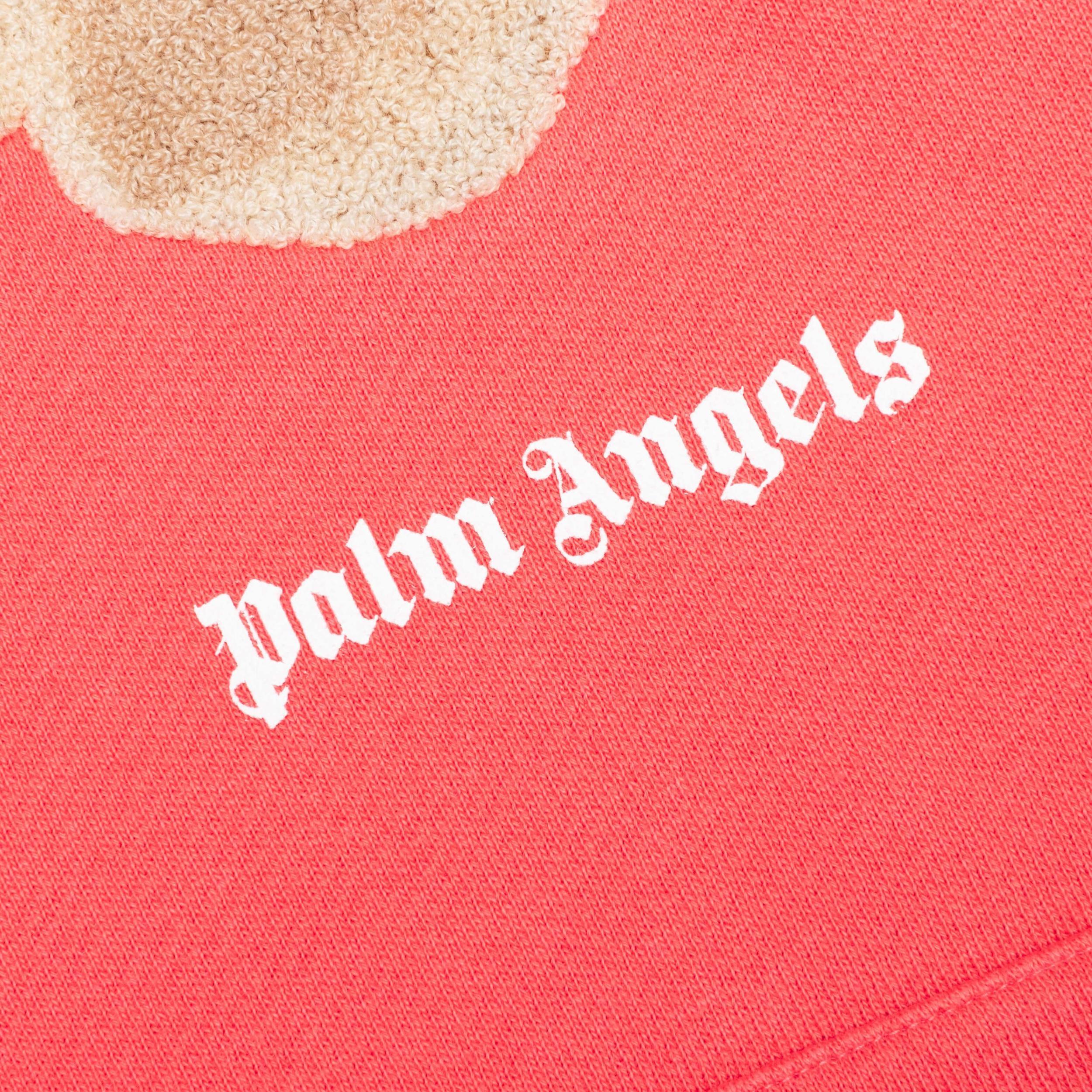 PA Bear Hoodie - Coral/Brown Male Product Image