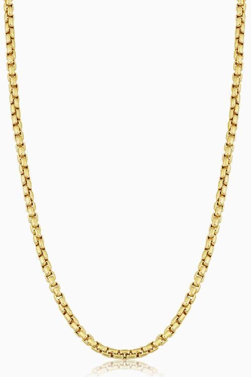 Oradina Men's Round Bodega Box Chain in 14K Gold in 14K Yellow Gold at Nordstrom, Size 20 Product Image