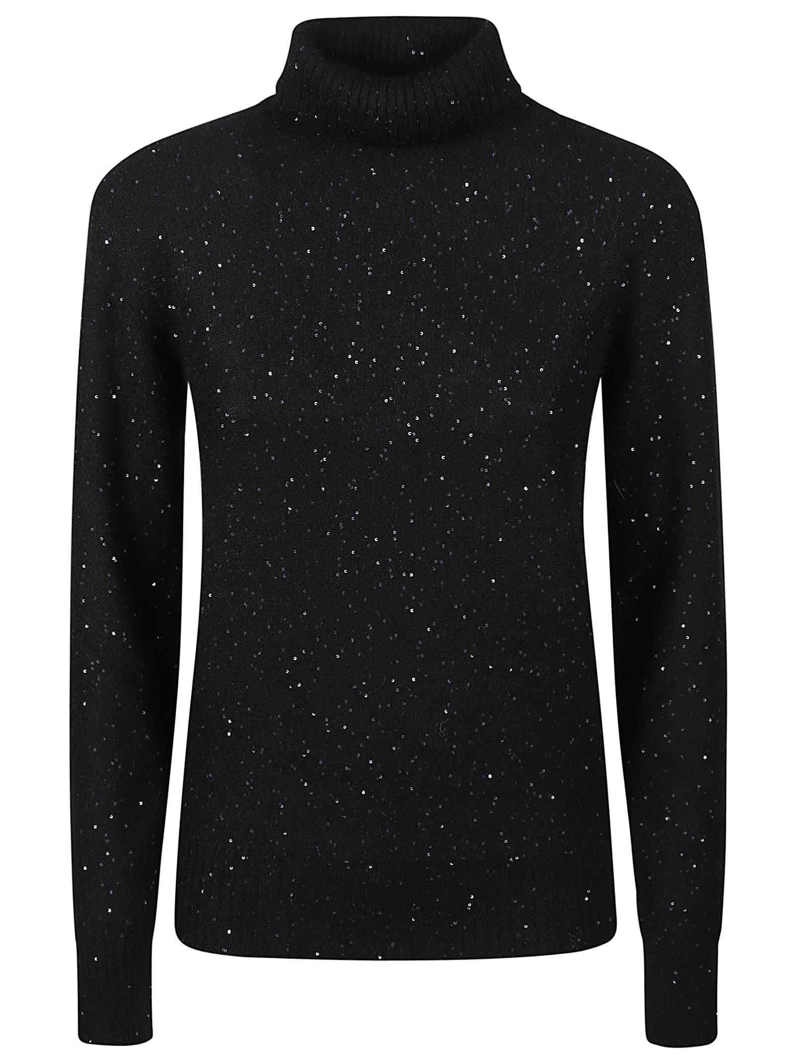 FABIANA FILIPPI Turtle Neck Sweater In Black Product Image