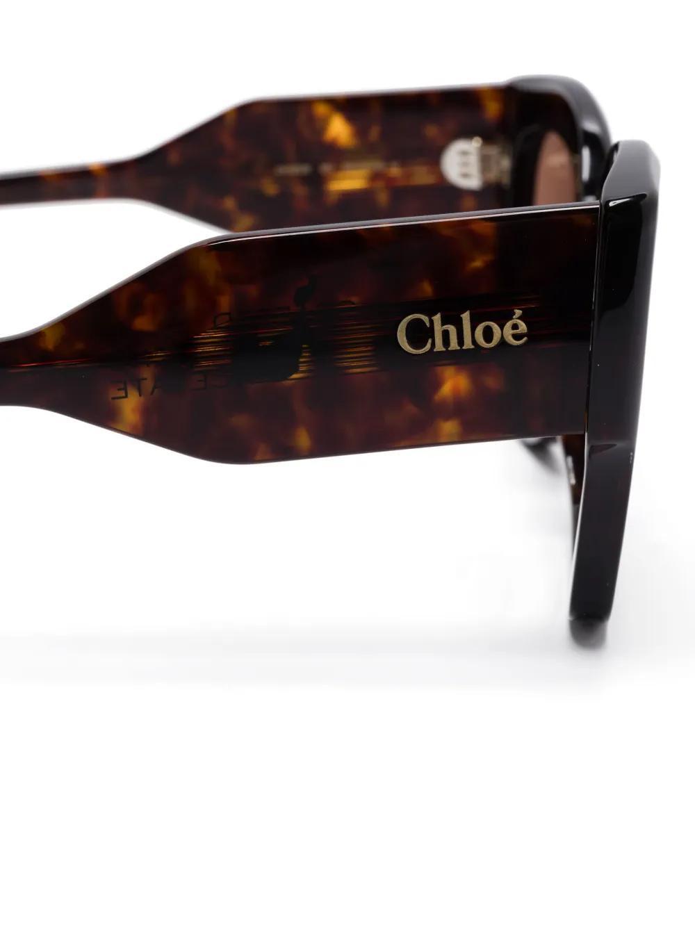 CHLOÉ Cat-eye Sunglasses In Brown Product Image