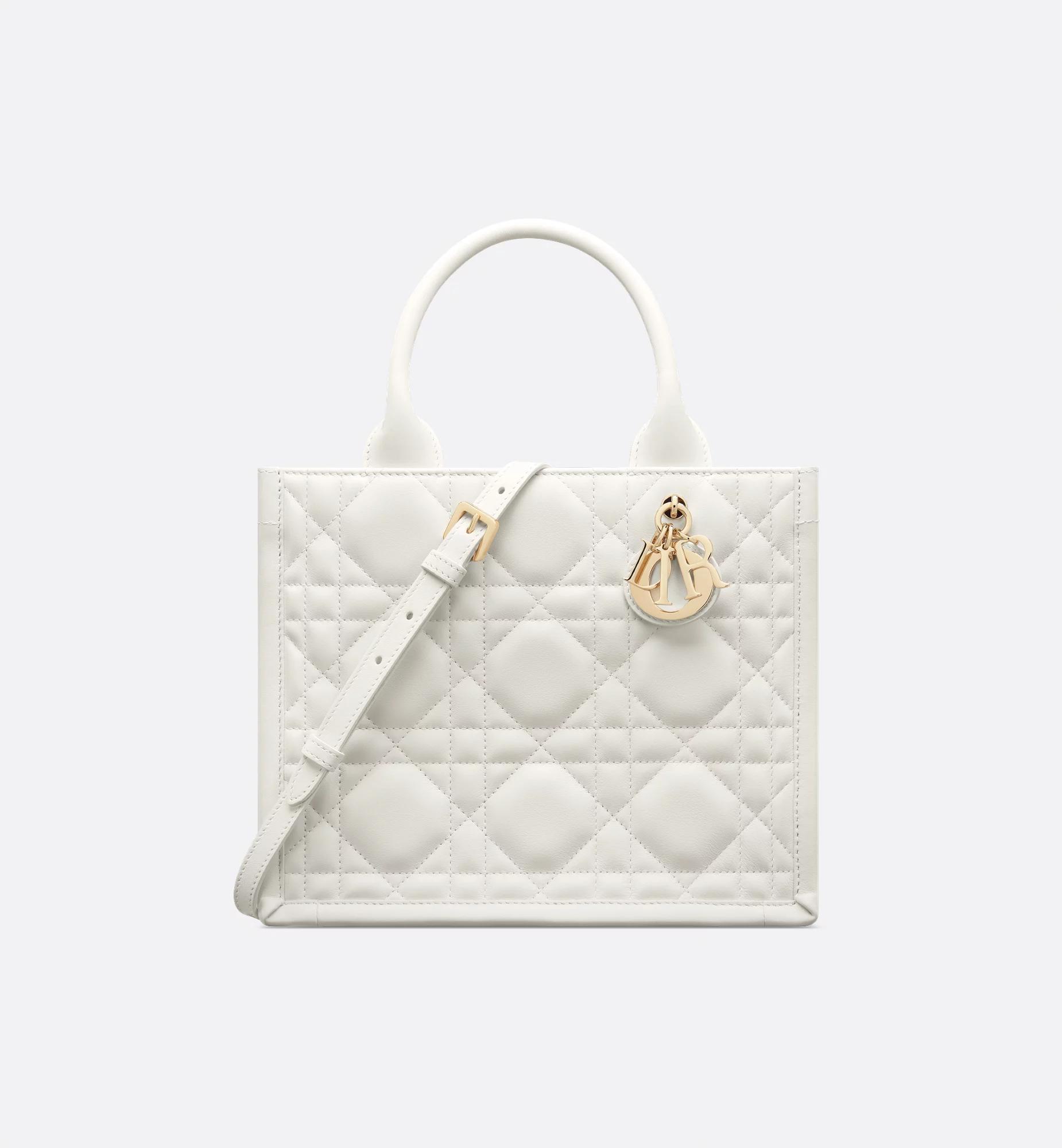 Small Dior Book Tote Product Image