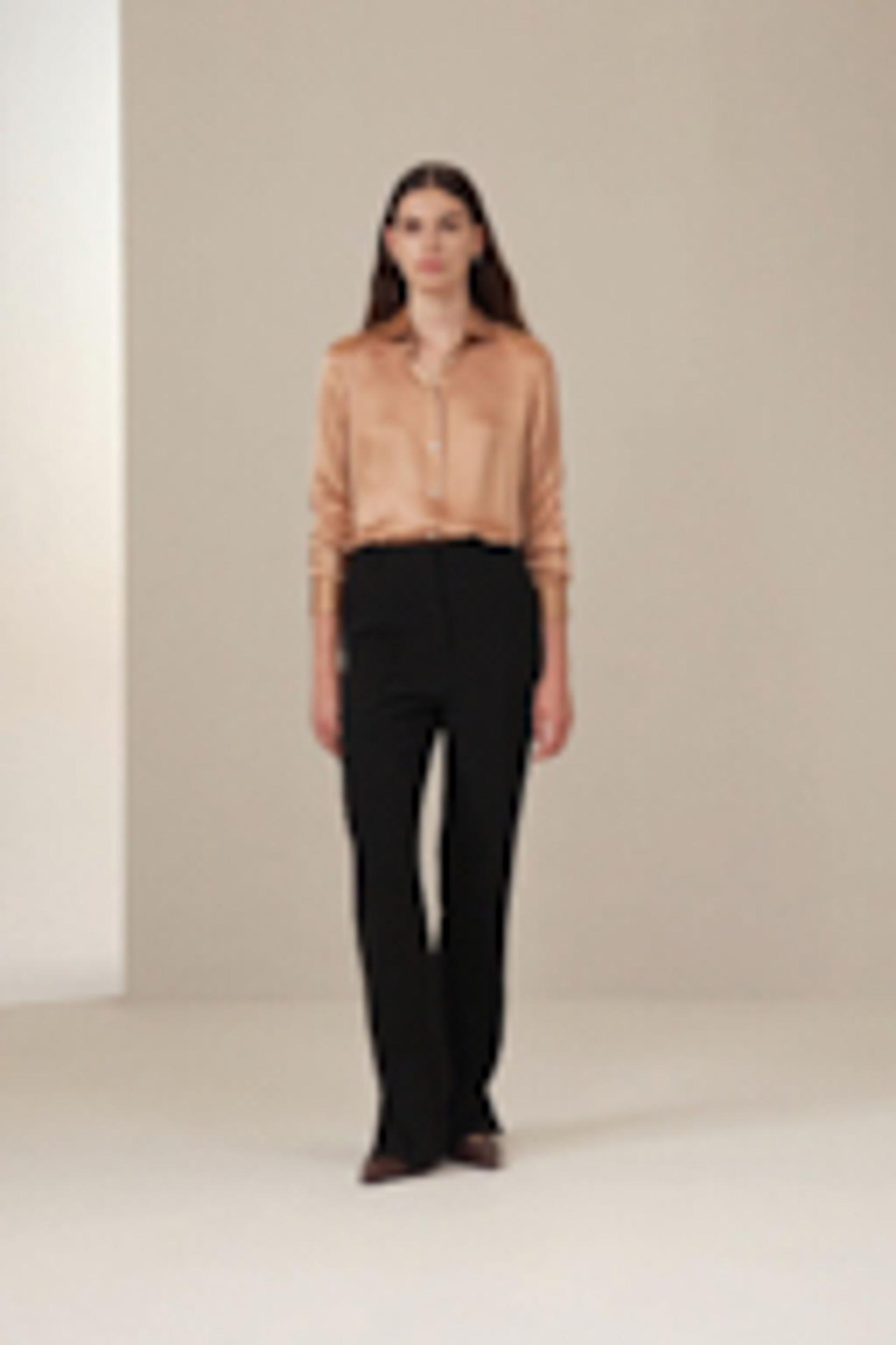Minimalist Placket Silk Blouse with Shell Buttons Product Image