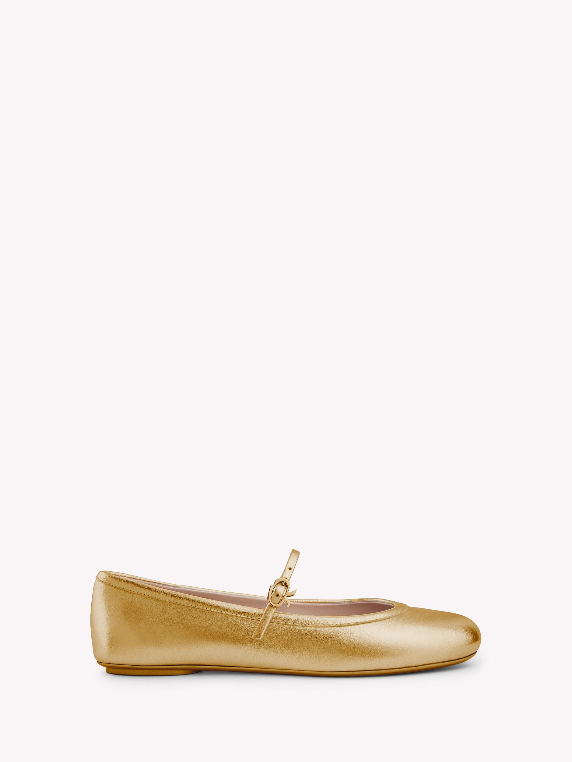 CARLA Gianvito Rossi Product Image