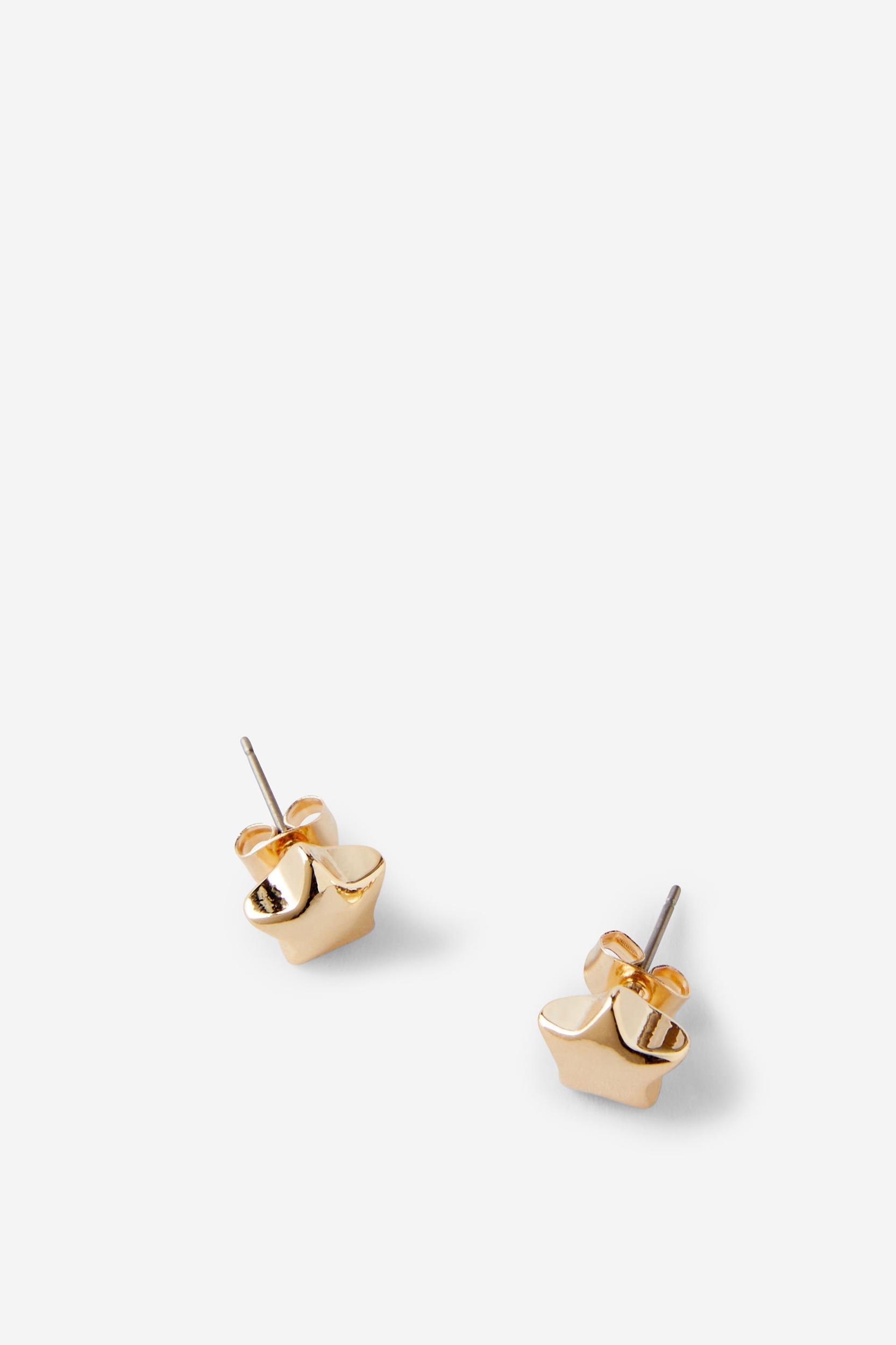 Small Charm Earring Product Image