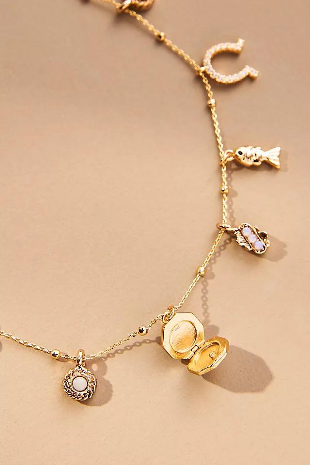 Good Fortune Charm Necklace Product Image
