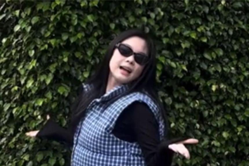 Plaid Button-Up Puffer Vest Product Image