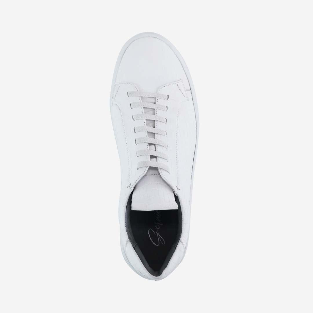 36's Laceless Low Top Product Image