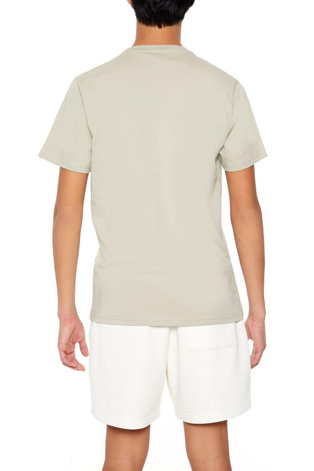 Basic Cotton Crew Tee | Forever 21 Product Image
