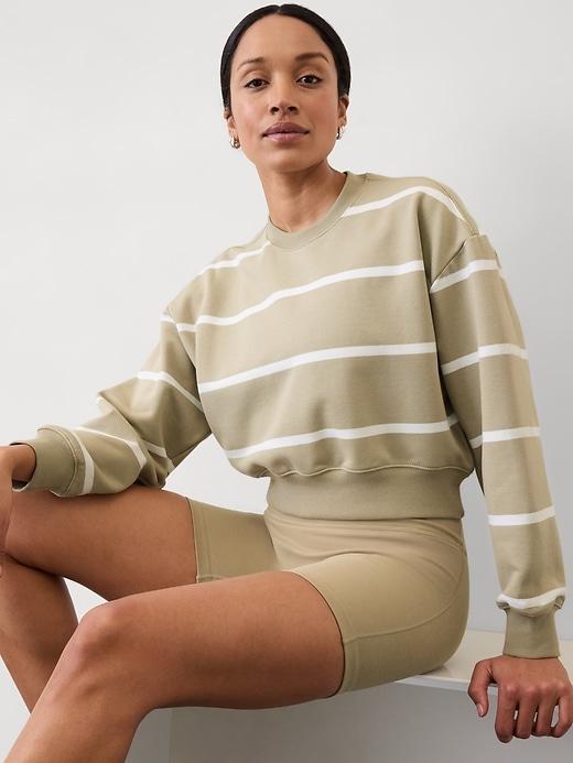 Heavyweight Terry Crop Crew Sweatshirt Product Image