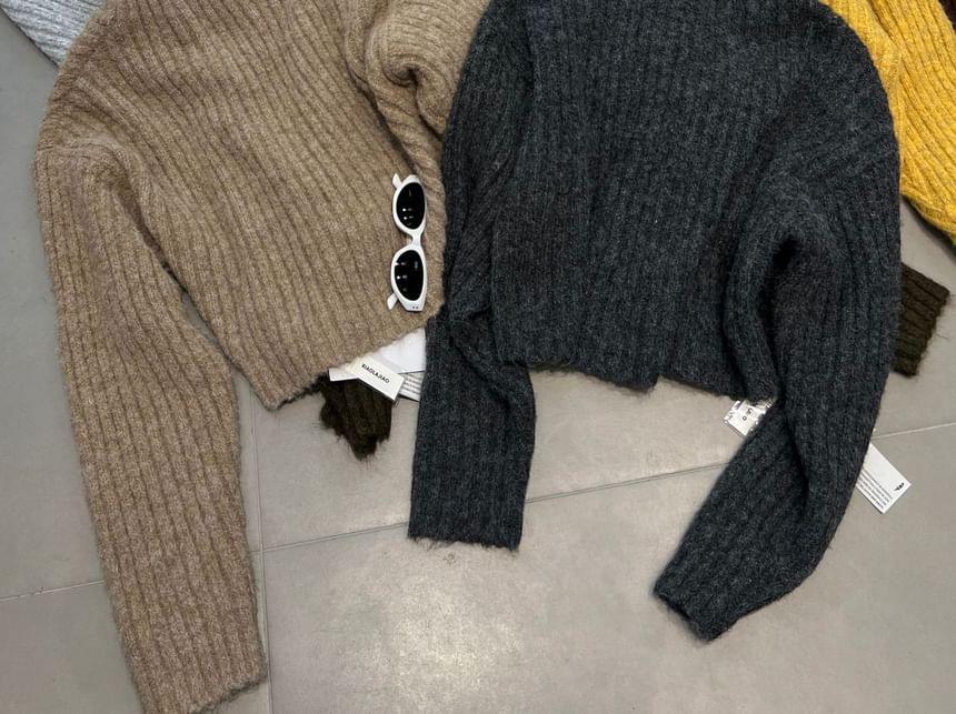 Turtleneck Plain Sweater Product Image