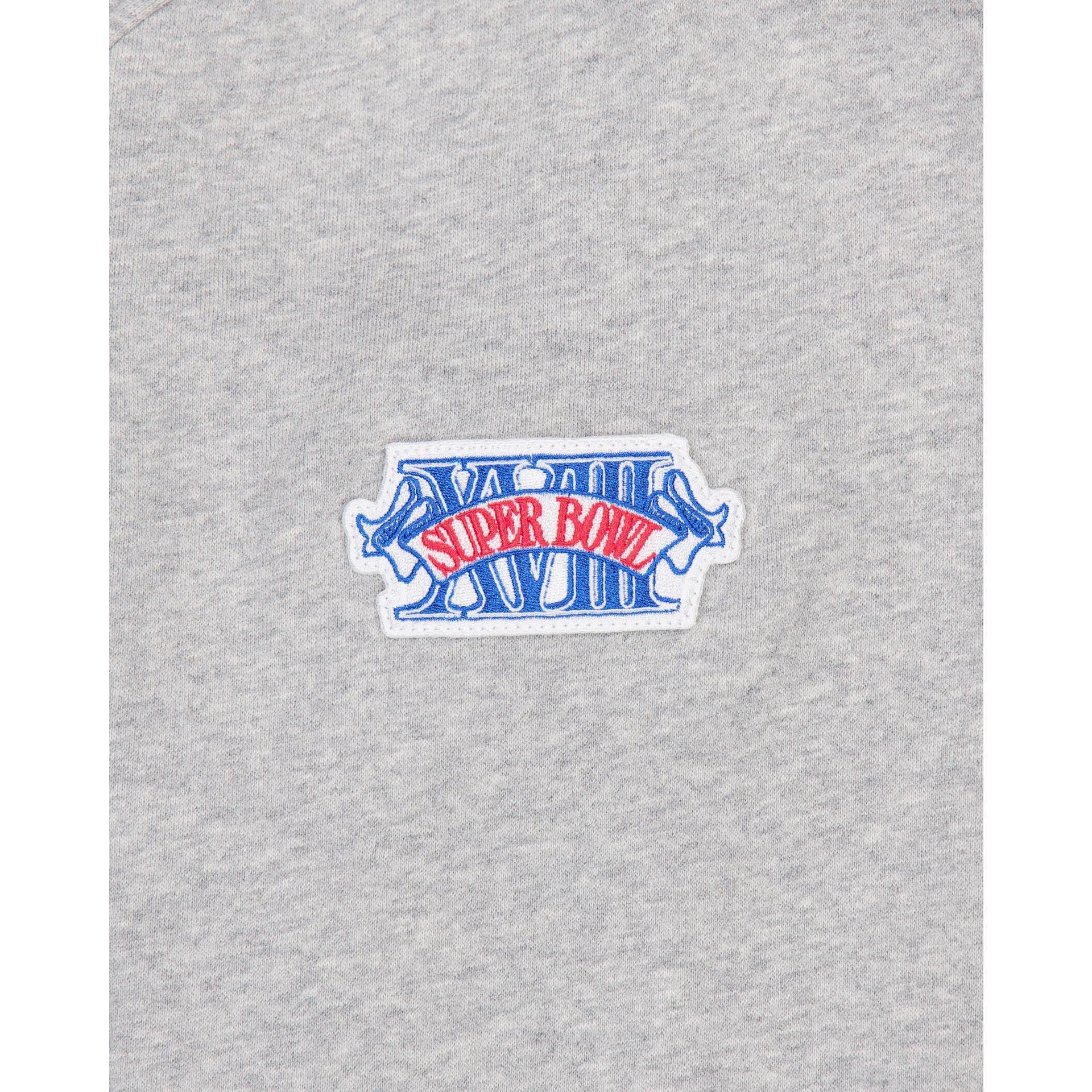 Las Vegas Raiders Gray Logo Select Full-Zip Hoodie Male Product Image
