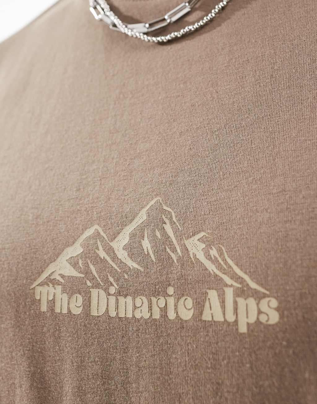 Another Influence mountain range slogan boxy t-shirt in washed tan Product Image