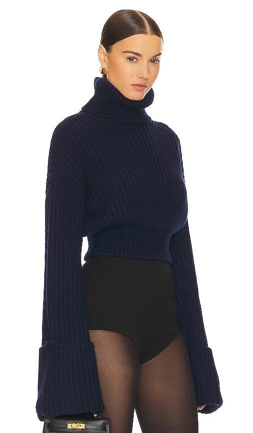 Helsa Esti Turtleneck Sweater Product Image