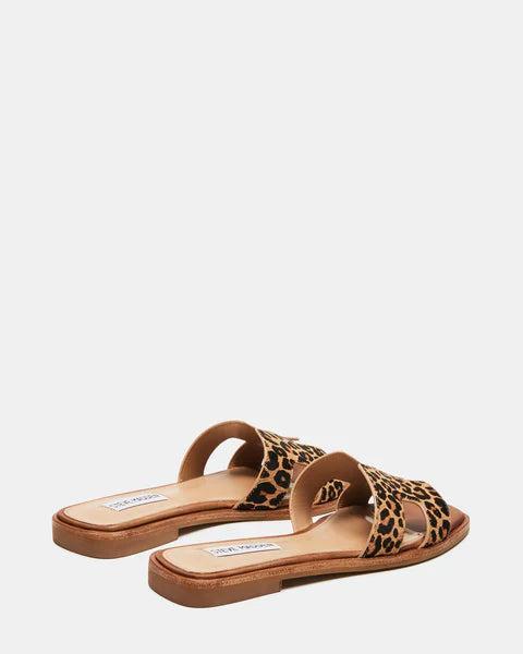 Steve Madden | Haydn Leopard Sandals Product Image