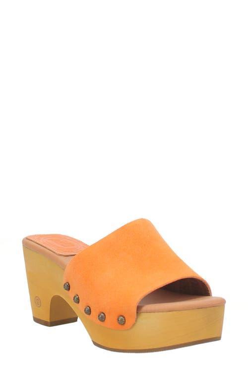 Dingo Beechwood Women's Suede Platform Sandals, Size: 8, Brown Product Image