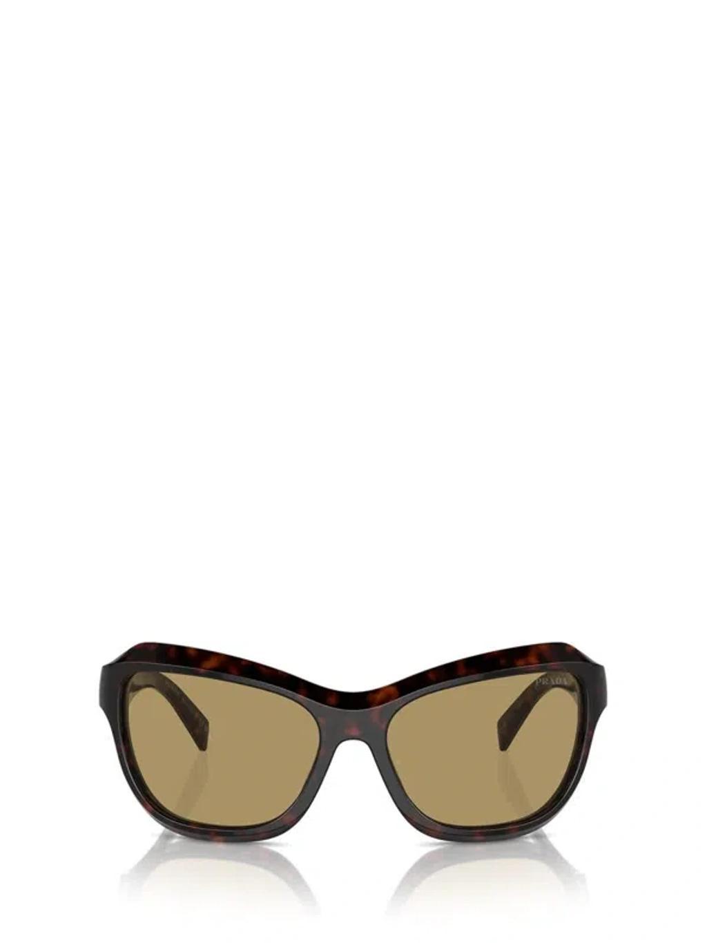 PRADA Womens Brown Pr A27s Butterfly-frame Acetate Sunglasses Product Image