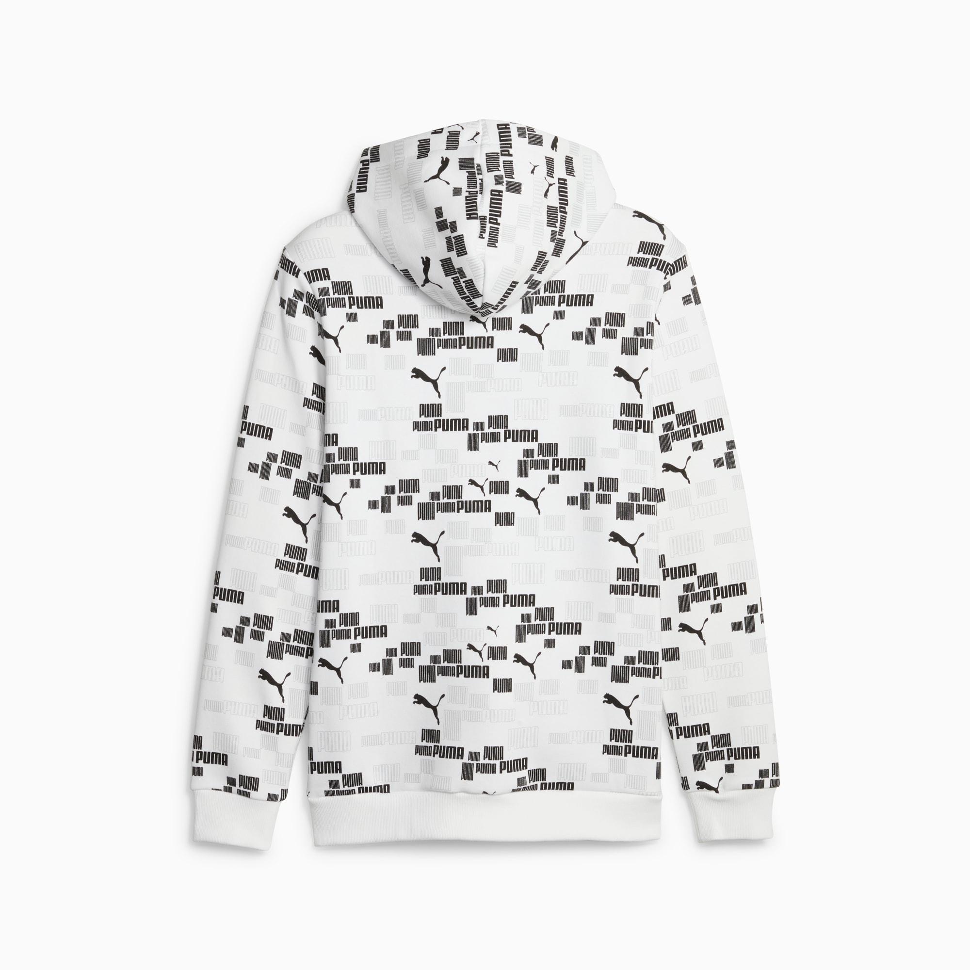 ESS+ LOGO LAB Men's Hoodie Product Image