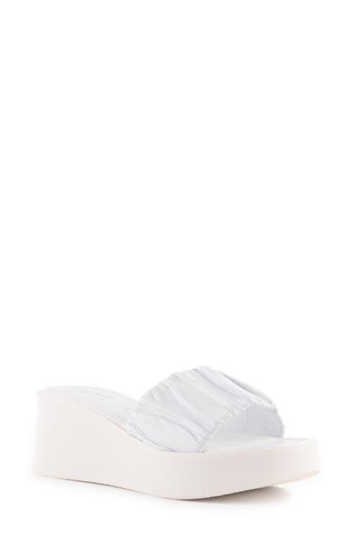 Seychelles Coney Island Leather) Women's Shoes Product Image
