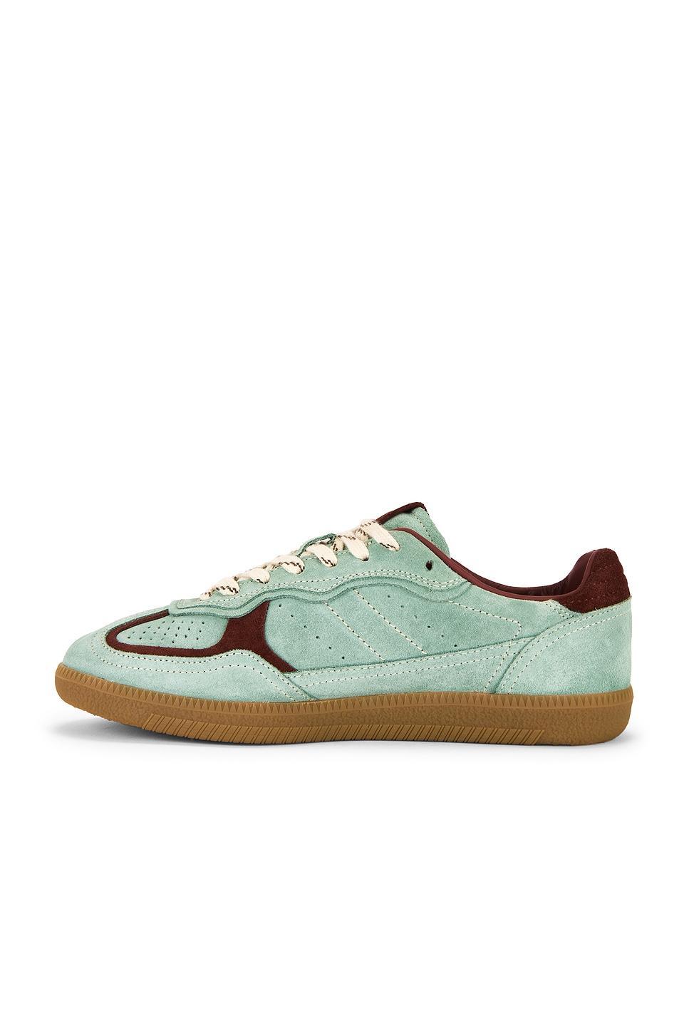 Tb.490 Rife Sneaker ALOHAS Product Image