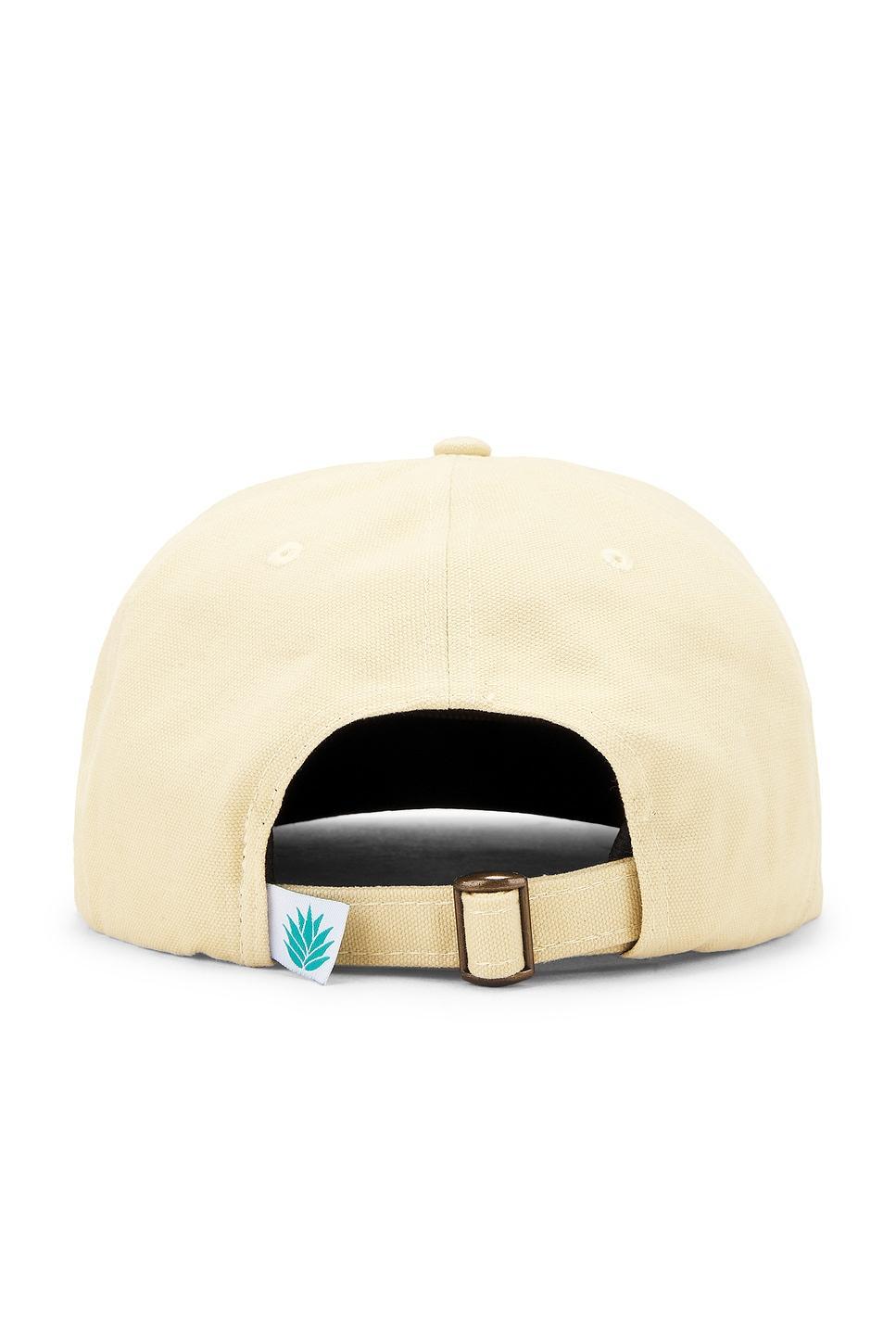 Ocotillo Hat Sendero Provisions Co. Product Image