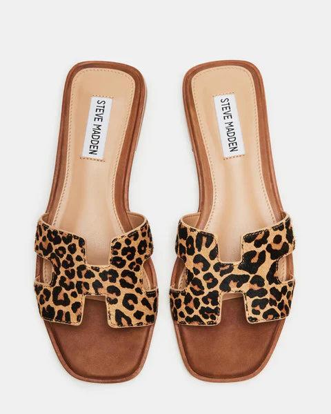 Steve Madden | Haydn Leopard Sandals Product Image