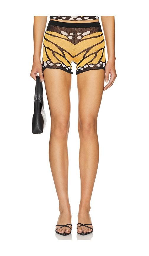 Knit Butterfly Shorts 1XBLUE Product Image