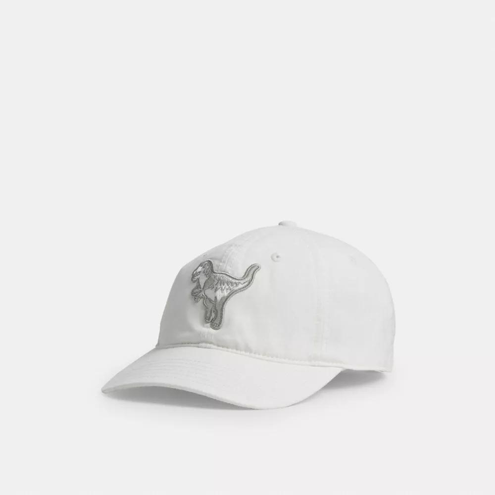 Rexy Patch Baseball Hat Product Image