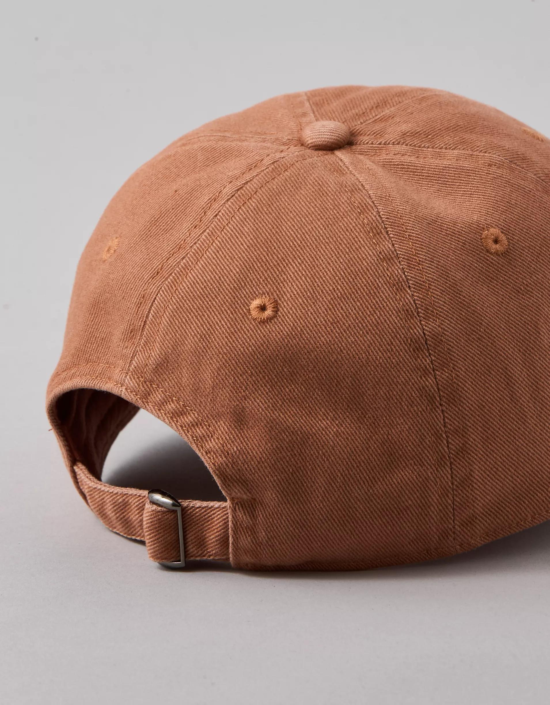 AE Destination Graphic Baseball Hat Product Image